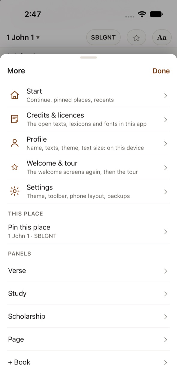 The More menu on the iPhone.